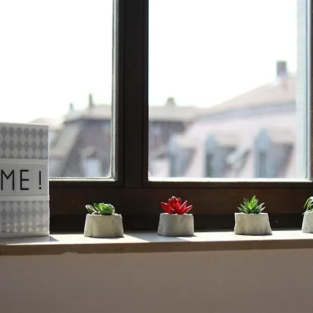 Сasa de vacaciones 3 Anna Iff